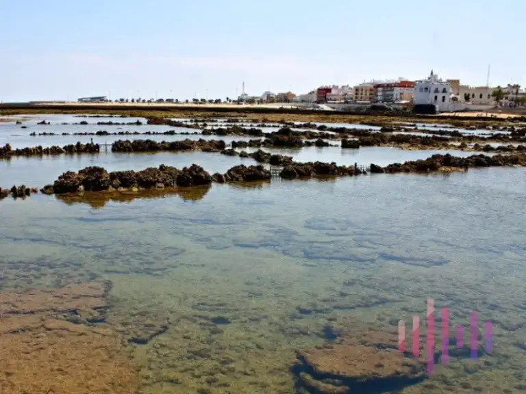 ¿Qué son los Corrales de pesca de Chipiona?