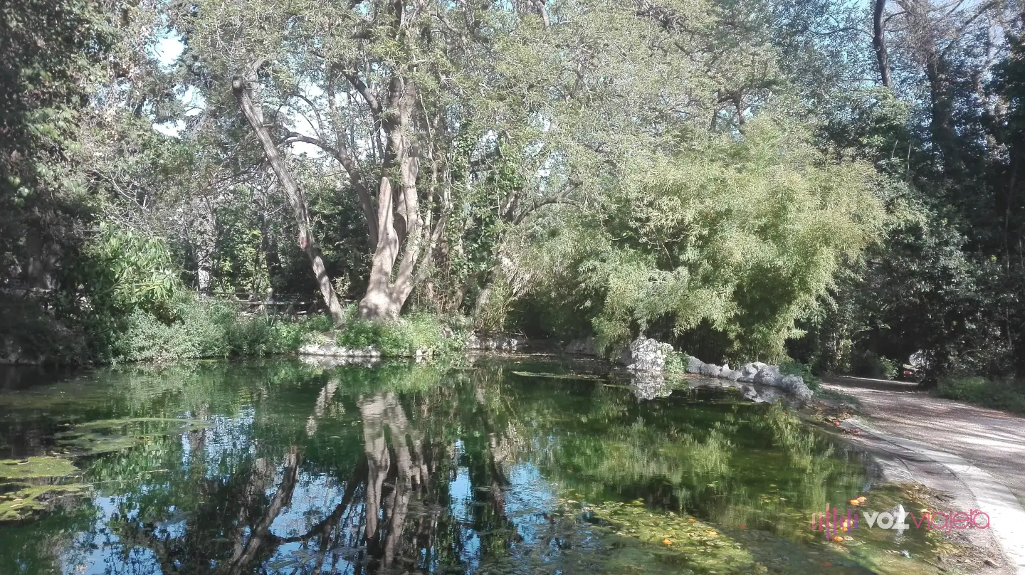 Estanque del Jardín Nacional de Atenas rodeado de árboles y cañas de bambú que se reflejan en el agua verde, con rocas en la orilla y un paseo de tierra a la derecha