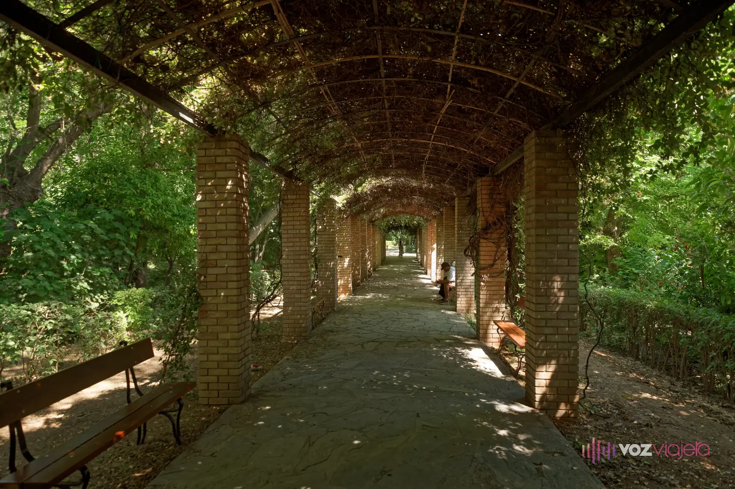 Pérgola larga del Jardín Nacional de Atenas: un pasillo de losas bajo un techo de hierro en arco cubierto de trepadoras, sostenido por pilares de ladrillo, con bancos de madera a los lados y vegetación densa