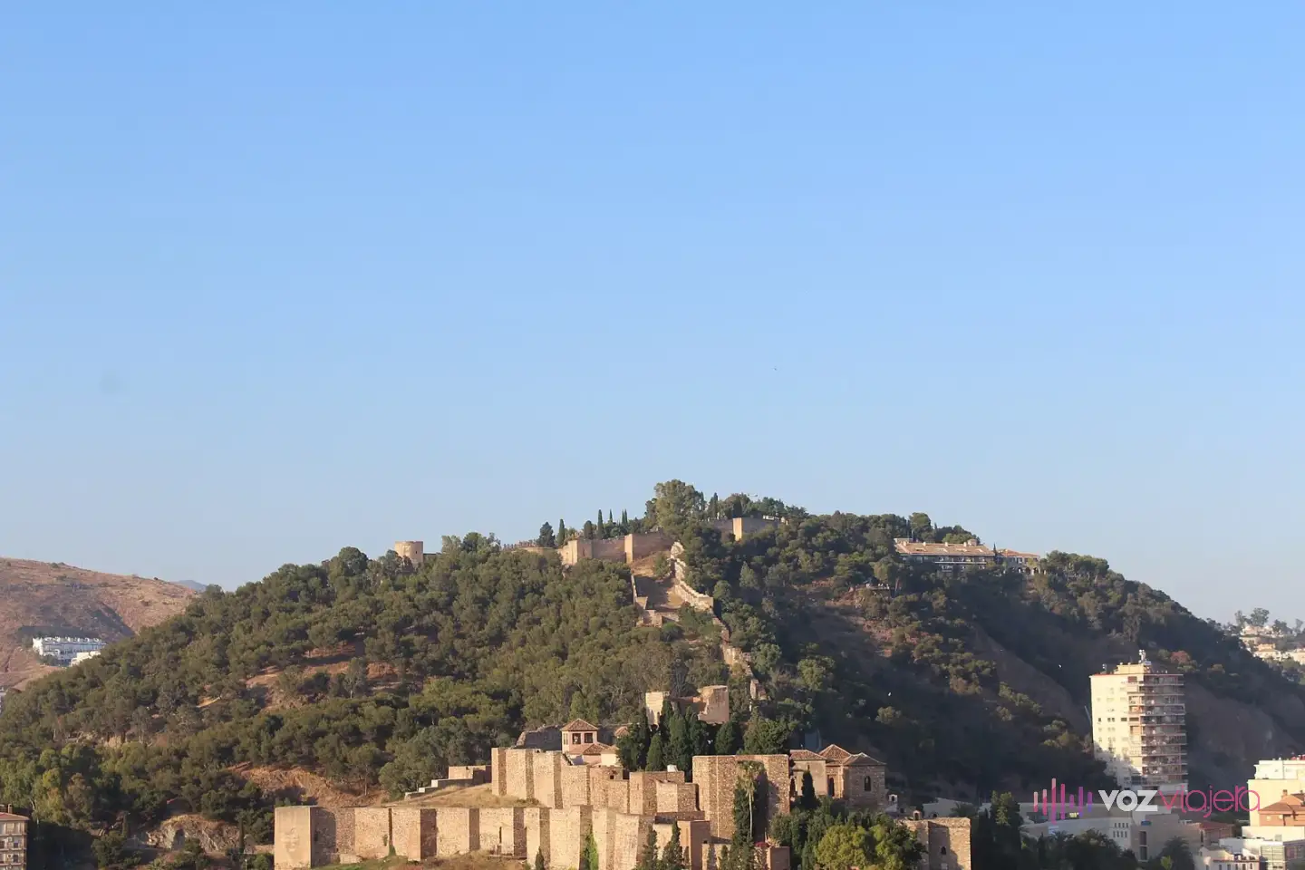 Monte de Gibralfaro en Málaga cubierto de pinos, con las murallas del castillo en lo alto y las de la Alcazaba al pie