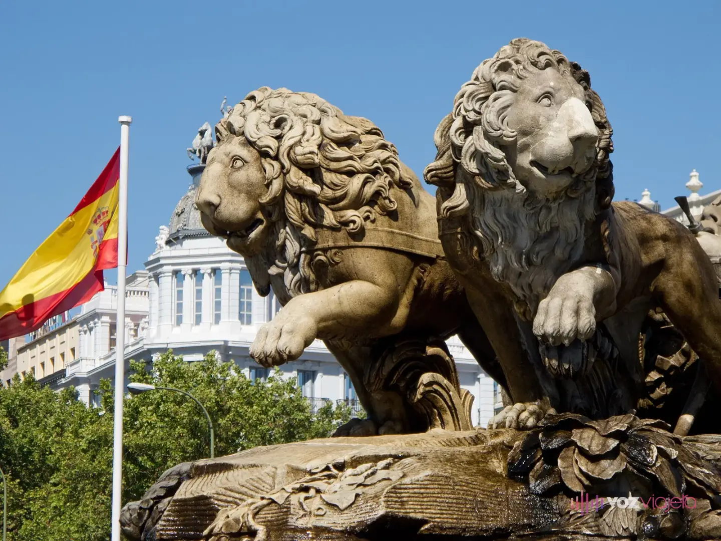Los 2 leones de mármol de la Fuente de Cibeles de cerca, con la pata delantera levantada y una bandera de España al lado