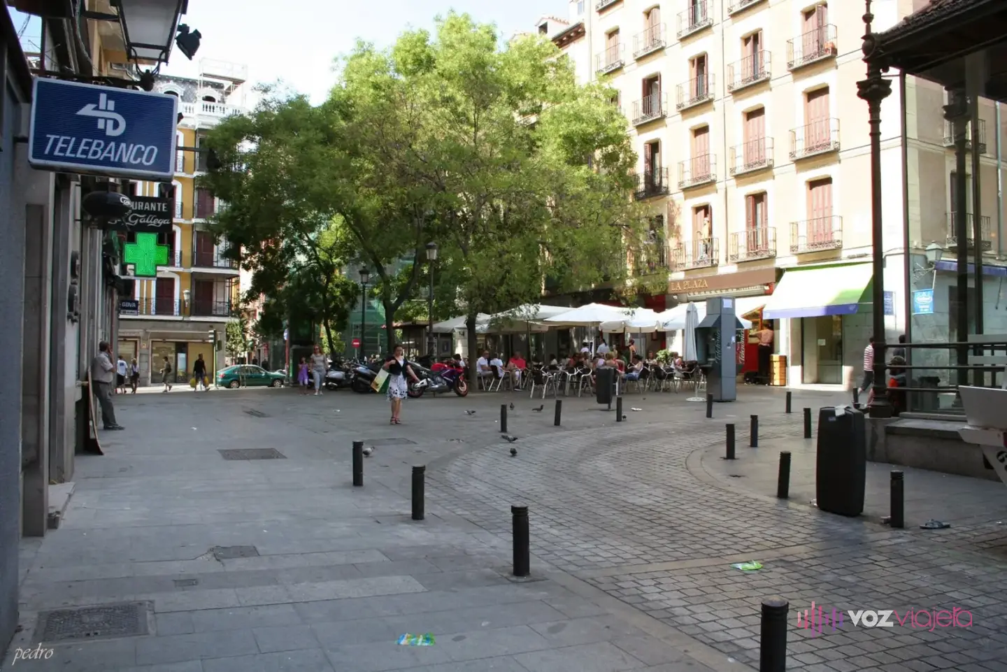 La plaza de San Miguel de Madrid con árboles, terrazas con sombrillas y edificios de viviendas alrededor